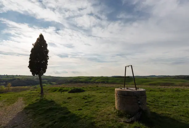 A water well and a cypress in Tuscany country, on a green meadow and beneath a blue sky with white clouds