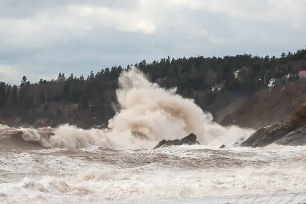 Big wave breaking on rocks. Large amount of spray. Trees and houses in the background. Overcast sky.