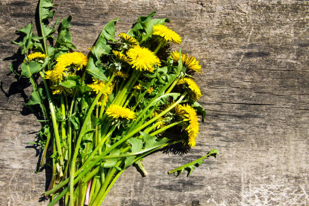 istock Yellow dandelion flowers on rustic wooden background. Top view 674952068