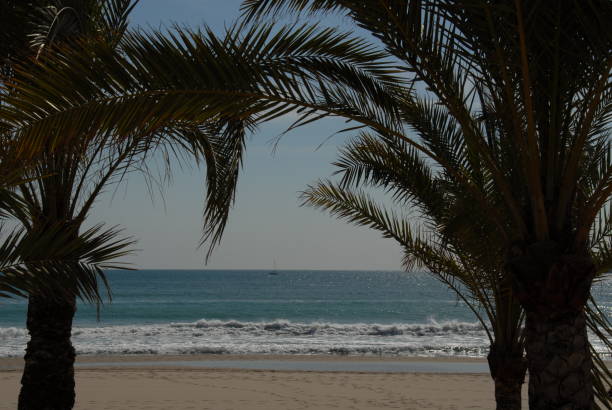 istock Waves on the Mediterranean in Spain 674952556