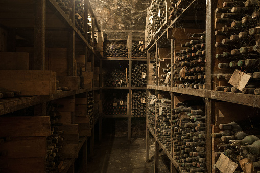 a lot of old wine bottles in the web in the wine cellar on the shelves