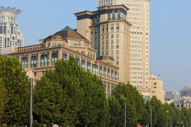 istock shanghai the bund architecture with blue sky and pink flowers 674955996