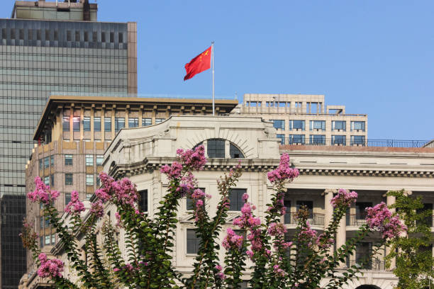 istock shanghai the bund architecture with blue sky and pink flowers 674958874