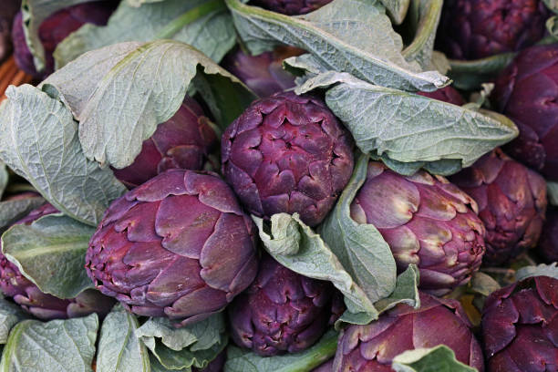 istock Purple fresh globe artichokes on market display 674959590