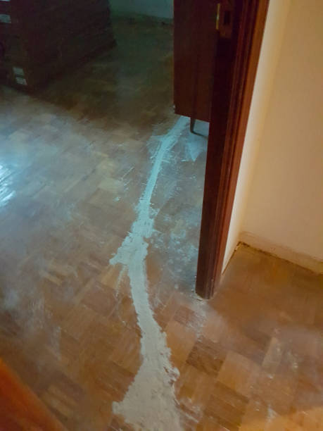 istock Restoration work in an old house 674966358