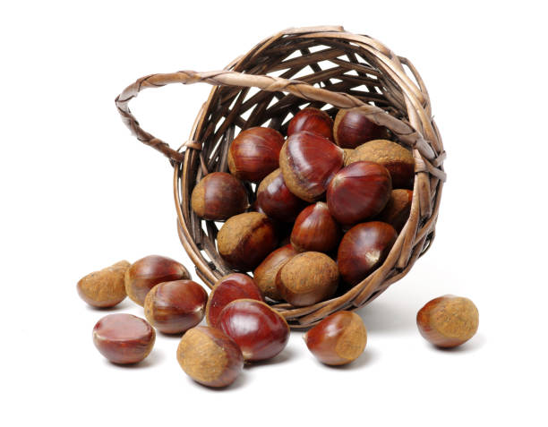 шахматные орехи на белом фоне - chestnut basket large group of objects isolated стоковые фото и изображения