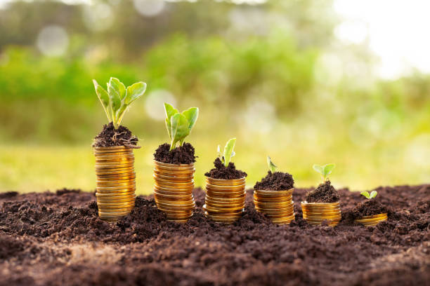 istock Grow your money faster 674984224