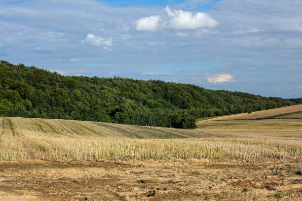istock summer landscape after harvest 674988374