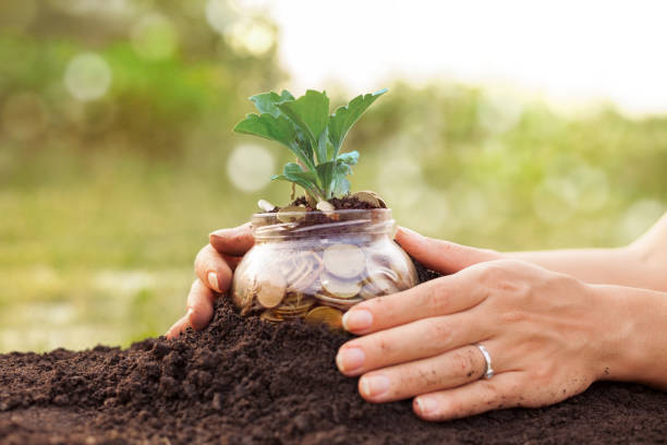 istock Reach your financial goals by saving 674988456