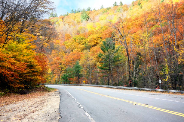 istock Autumn scene with road 674988530