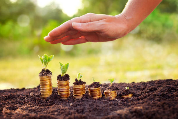 istock Be patient with your money 674990848