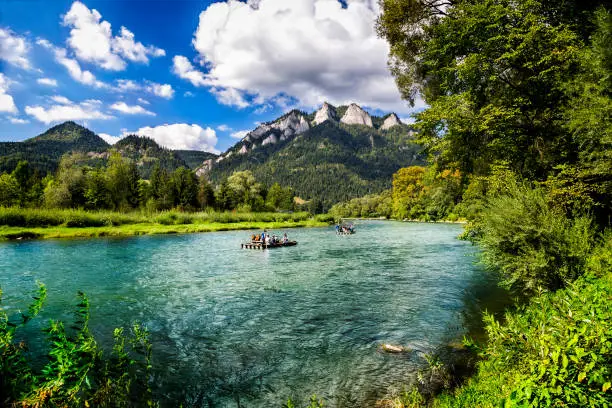 The river tour across Dunajec gorge. Raftmens and turists sitting on special rafts and admiring beauty of Pieniaski National Park in unusual and fascinating way. The river tour lasts from 2 to 3 hours