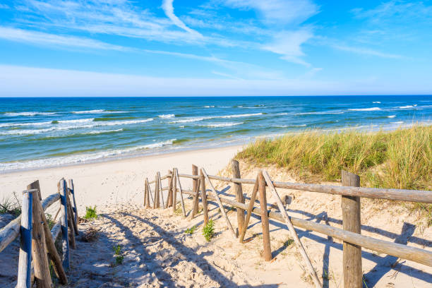 Entrance to sandy Bialogora beach, Baltic Sea, Poland Polish part of Baltic Sea coast has most beautiful sandy beaches among all countries with access to this body of water. baltic sea photos stock pictures, royalty-free photos & images