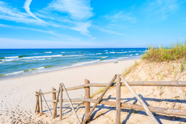 Wooden fence of entrance to sandy Bialogora beach, Baltic Sea, Poland Polish part of Baltic Sea coast has most beautiful sandy beaches among all countries with access to this body of water. baltic sea people stock pictures, royalty-free photos & images