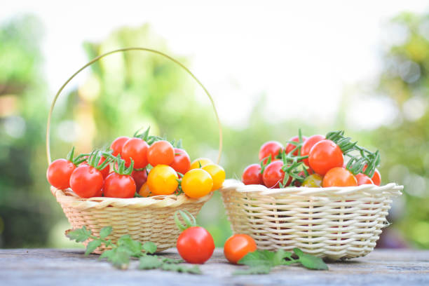 istock Tomato in basket on wood 674994264
