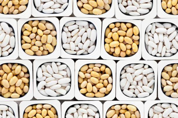 Canary and cannellini beans