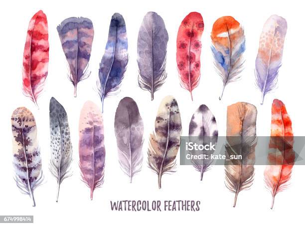Hand Drawn Illustration Watercolor Feathers Collection Aquarelle Boho Set Isolated On White Background Perfect For Invitations Greeting Cards Posters Prints Stock Illustration - Download Image Now