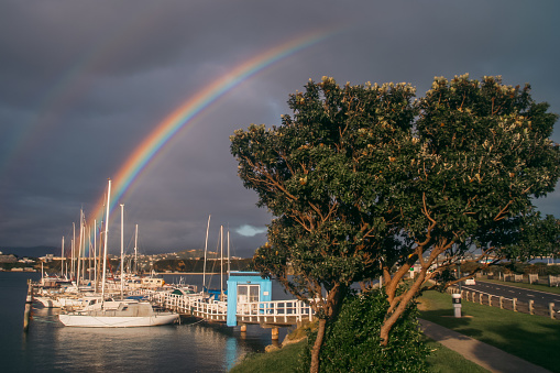 Rainbow over the boats in a Wellington harbor