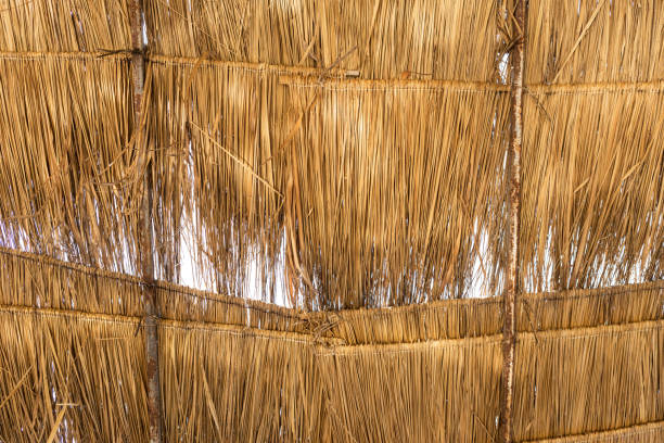 istock Old dry grass roof background 675004946