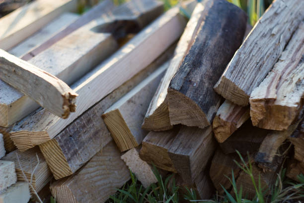 istock Pile of Wood for fire 675005068