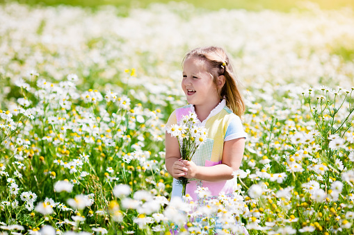 On the image there is a little girl. She is in field of poppy.