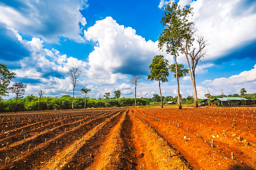 Red soil field and blue sky in Thailand