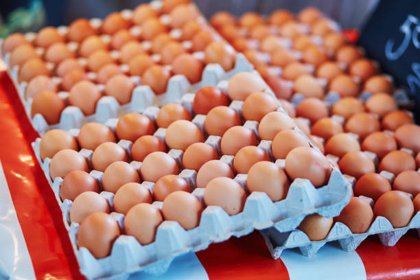 istock Fresh eggs on farmers market 675019044