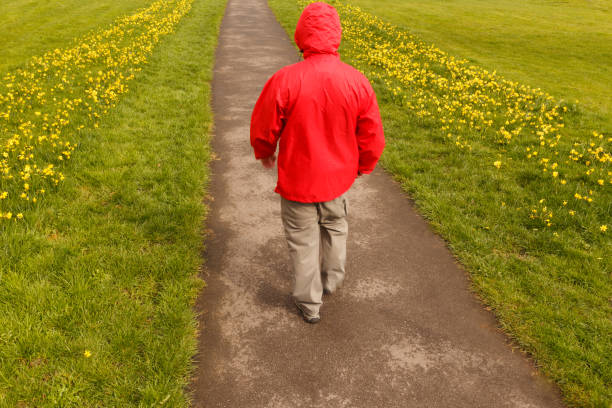 istock Model released image of unrecognisable man wearing red rain jacket walking along path lined with grass and yellow daffodils in Spring in Britain. 675020556