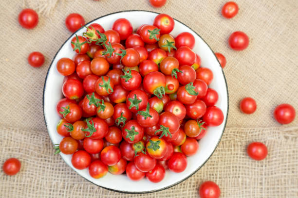 istock harvest of cherry tomatoes placed in a bowl 675020920