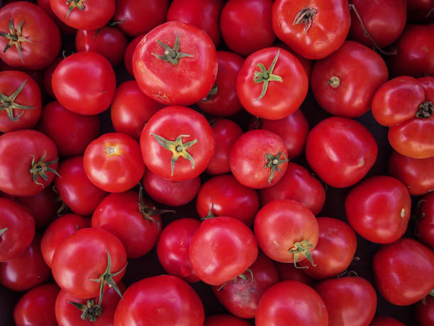 istock Tomatoes at the market 675024080