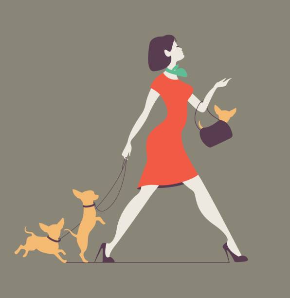 Vector silhouette of woman with dog. Young woman walking dogs. Fashionista with dogs vector art illustration