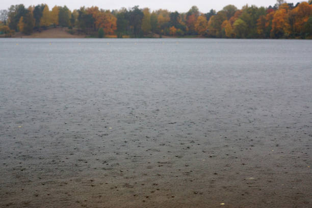 Rain on the lake in autumn, trees on the other shore.
