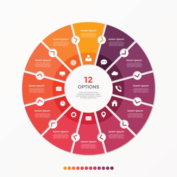kreis diagrammvorlage infografik mit 12 optionen - 12 stock-grafiken, -clipart, -cartoons und -symbole