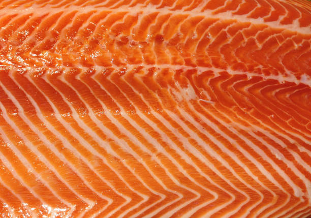 istock Salmon in the market 675052252