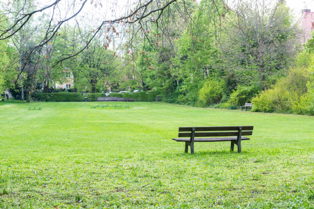 istock Cool Temperature Park Outdoors Overcast Weather Cold Cloudy Day Green Grass 675055518
