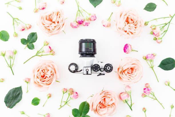 istock Flowers and Old Retro camera on white background. Flat lay, top view. Floral background. 675059494