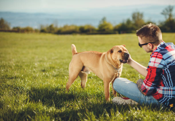 istock I love my dog... 675060868