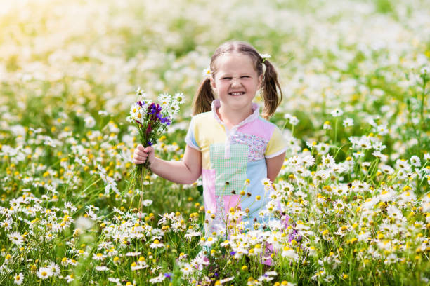 kleines mädchen blumenpflücken in daisy-feld - 11818 stock-fotos und bilder