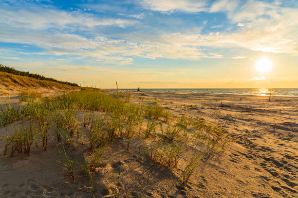 istock Grass on sand dune at sunset time, Leba beach, Baltic Sea, Poland 675065330