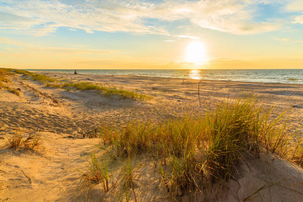 istock Grass on sand dune at sunset time, Leba beach, Baltic Sea, Poland 675065364
