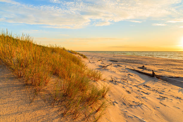 istock Grass on sand dune and sunset over Leba beach, Baltic Sea, Poland 675065426