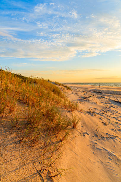 istock Grass on sand dune and sunset over Leba beach, Baltic Sea, Poland 675065532