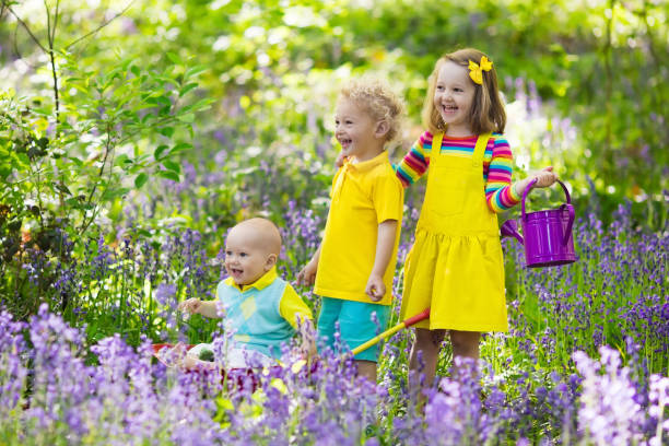 istock Kids in bluebell flower forest in summer 675066062