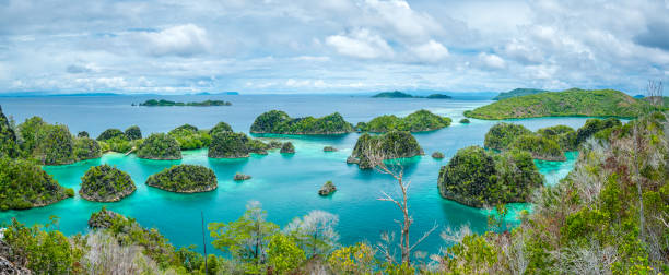 istock Pianemo Islands, Raja Ampat, West Papua, Indonesia 675071476