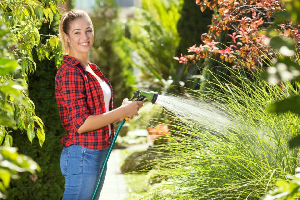 istock Woman Watering Garden 675071722