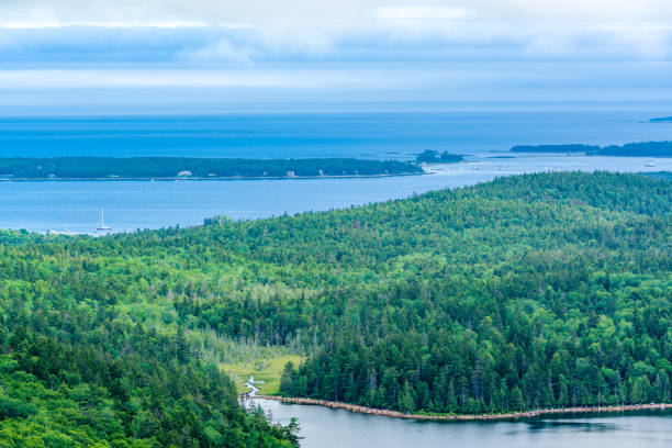 istock A small stream in a forest by the ocean 675073056