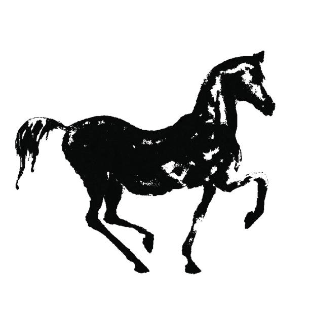 ilustrações de stock, clip art, desenhos animados e ícones de black ink horse silhouette on white. - horse arabian horse arabia white