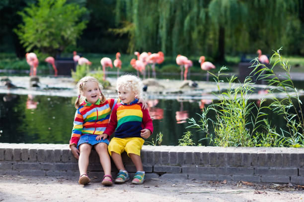 istock Children watching animals at the zoo 675078966