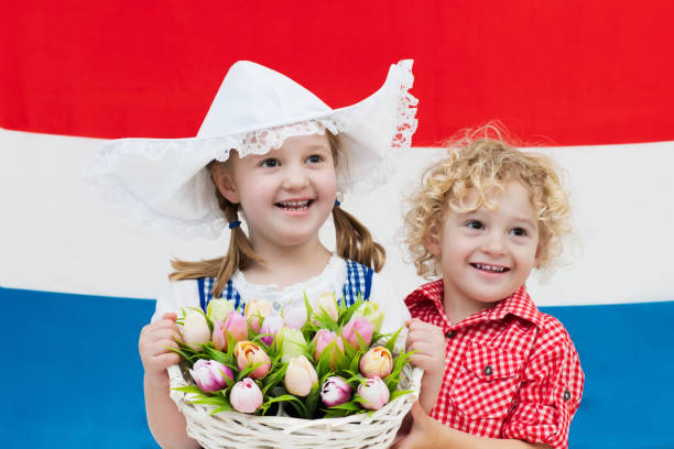 enfants néerlandais avec des fleurs de tulipes et drapeau des pays-bas - 11901 photos et images de collection