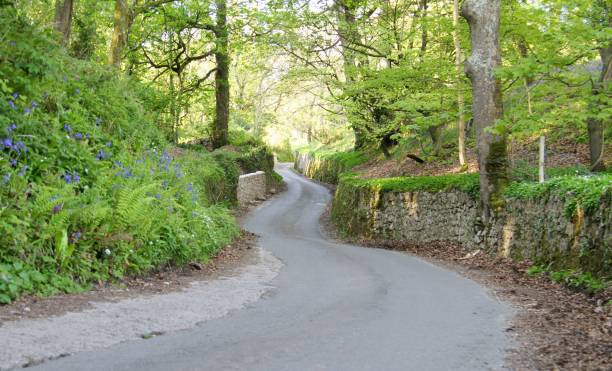 istock winding country road 675080966